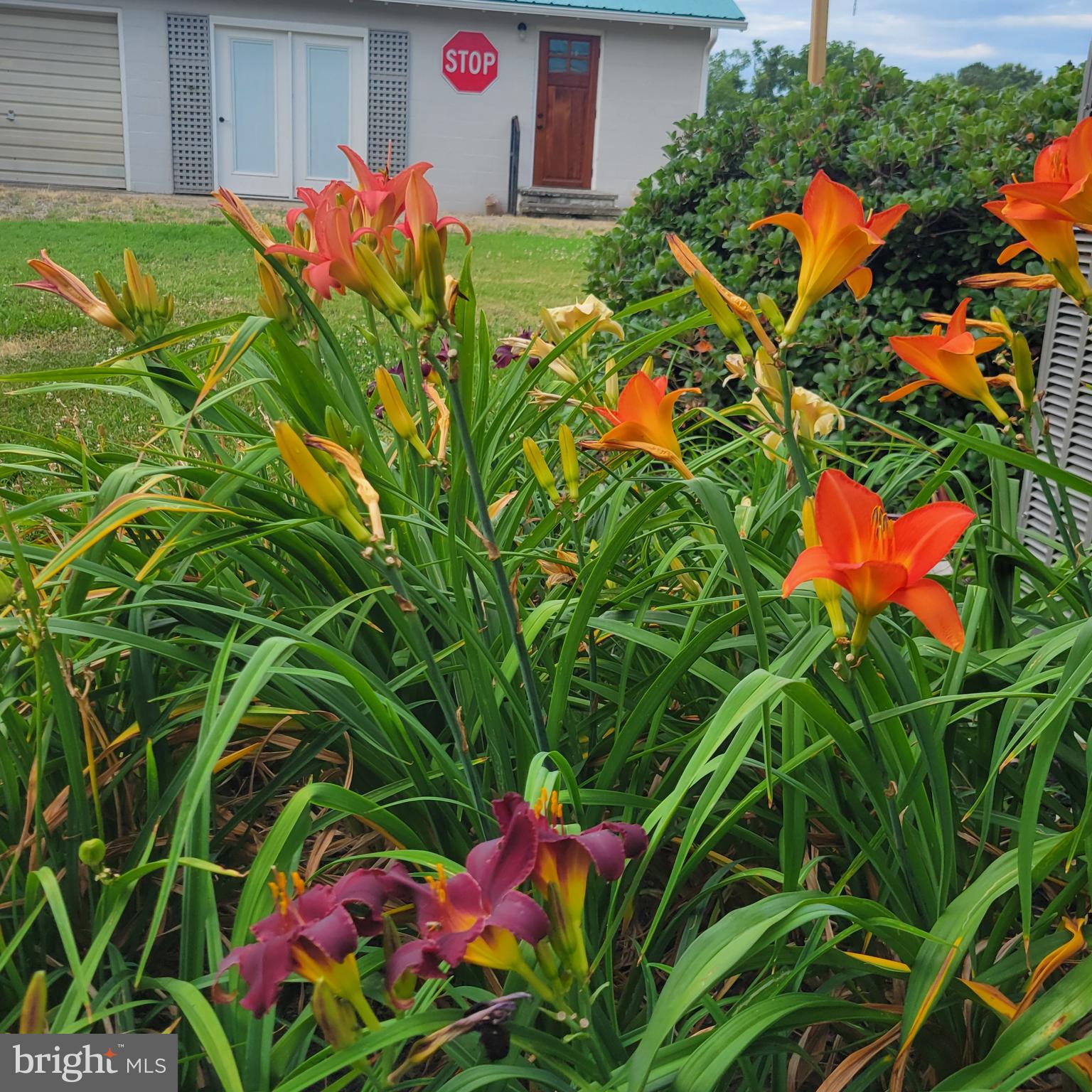 519 Whitehall Road Lancaster, VA 22503 - Photo 41 of 46