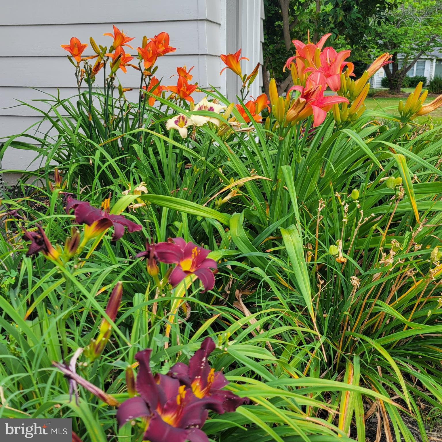 519 Whitehall Road Lancaster, VA 22503 - Photo 42 of 46