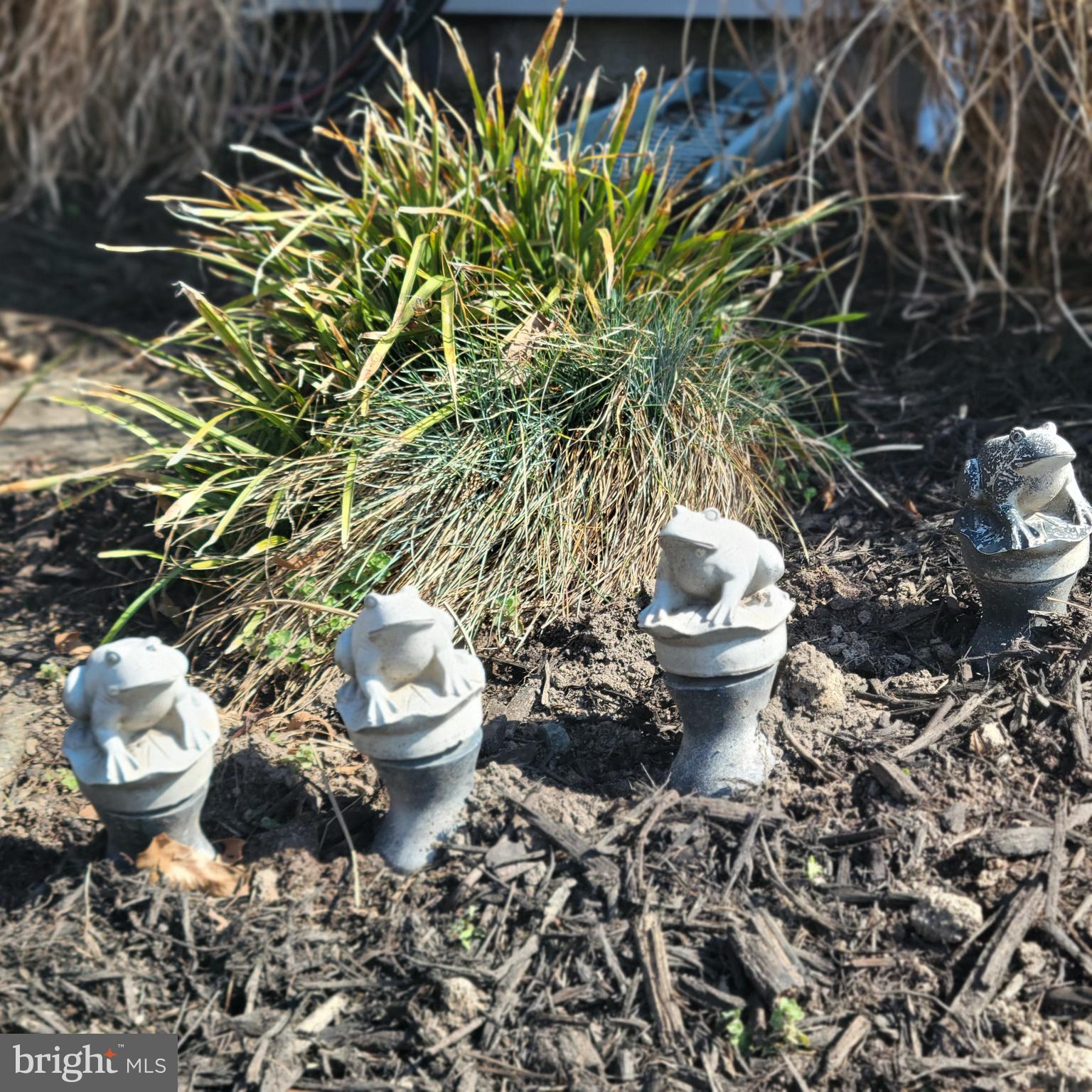 519 Whitehall Road Lancaster, VA 22503 - Photo 43 of 46