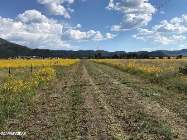 $135,000 | 26 County Road 2009, Unit E, Nutrioso, AZ 85932