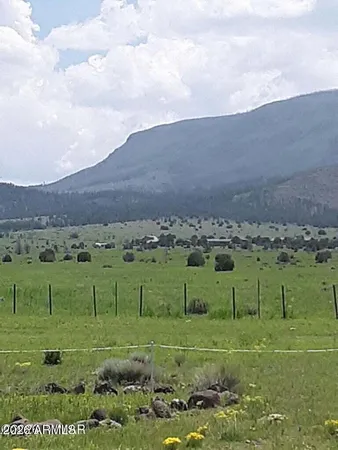 $135,000 | 26 County Road 2009, Unit E, Nutrioso, AZ 85932