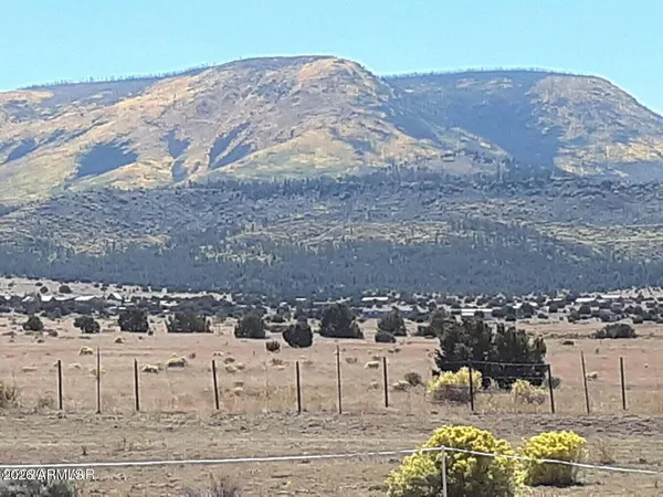 $135,000 | 26 County Road 2009, Unit E, Nutrioso, AZ 85932