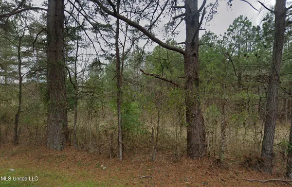 $38,000 | Sleepy Hollow Road, Terry, MS 39170