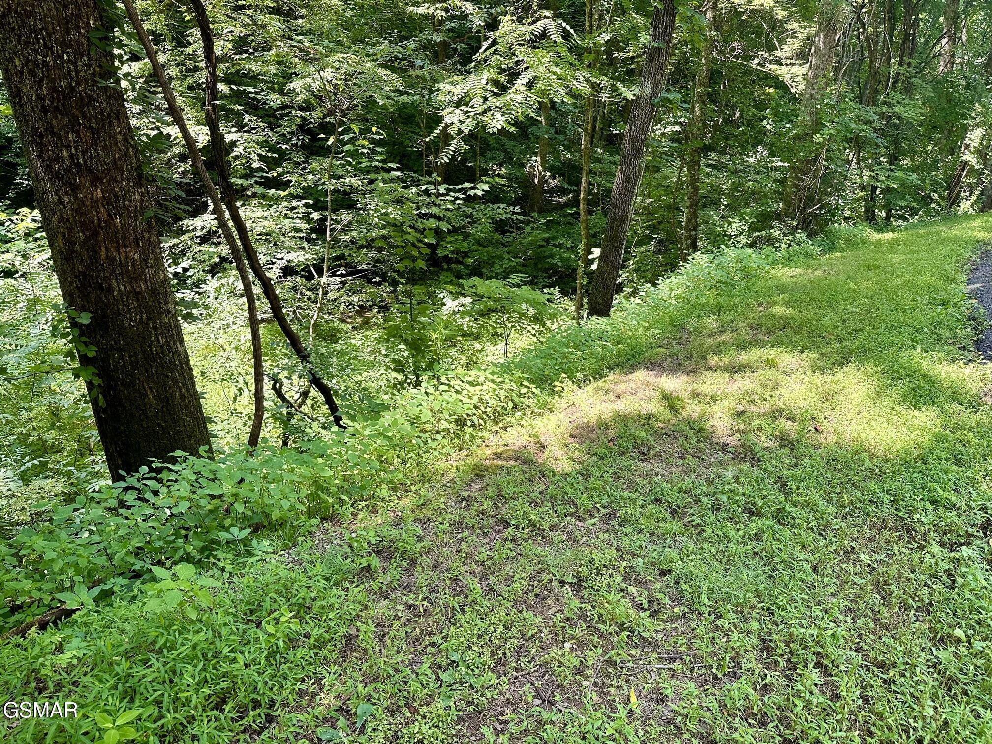 706 School House Gap Road Sevierville, TN 37876 - Photo 3 of 5