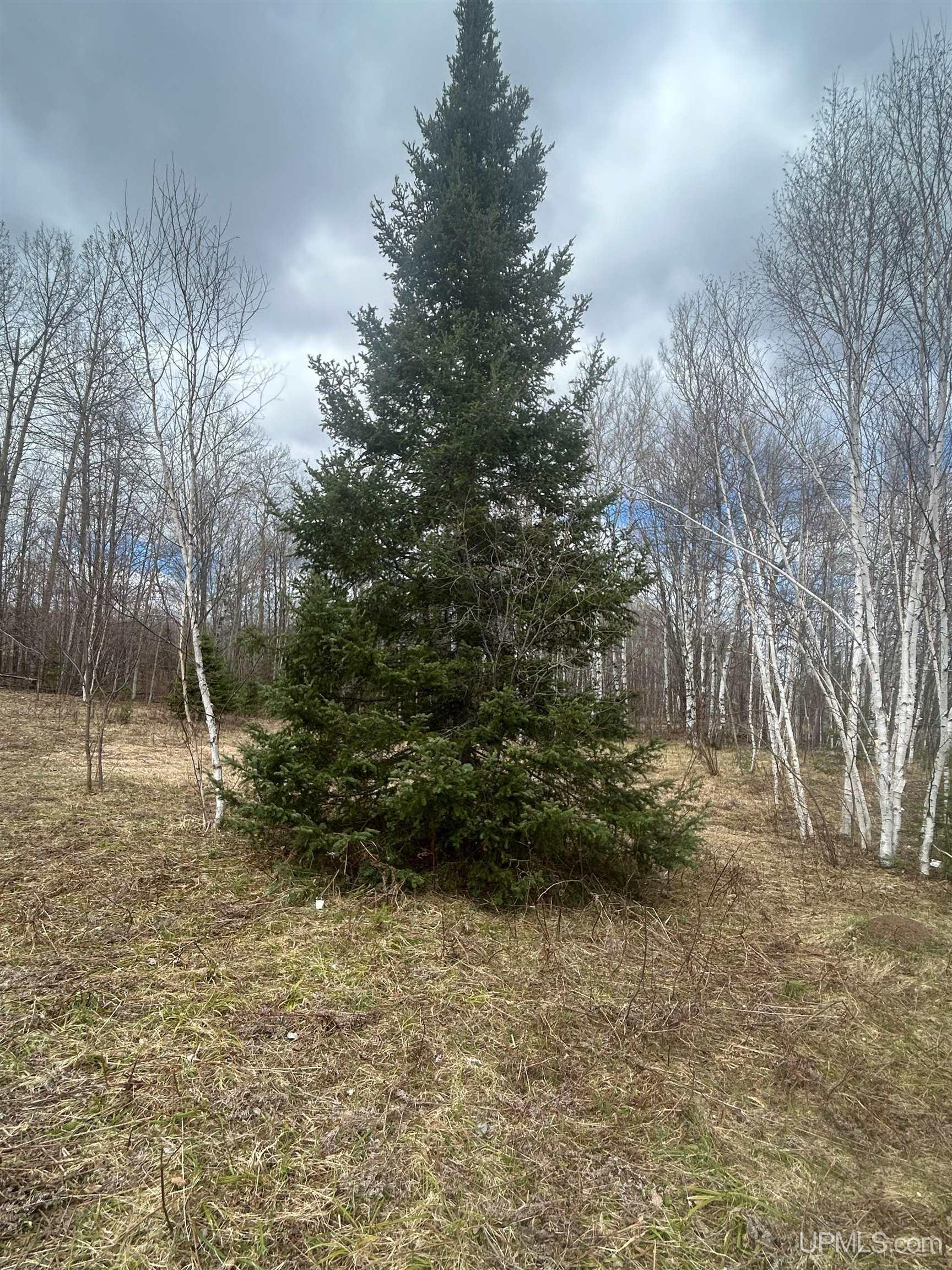 Tbd 10-1 Mill Pond Road Trout Creek, MI 49967 - Photo 16 of 23