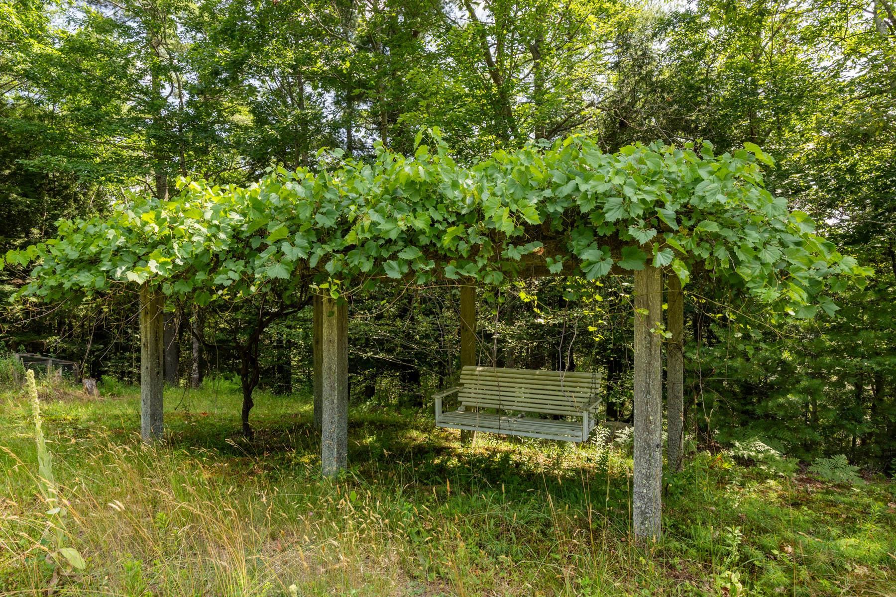 1539 Province Road Strafford, NH 03884 - Photo 42 of 52 Gallery Image 42