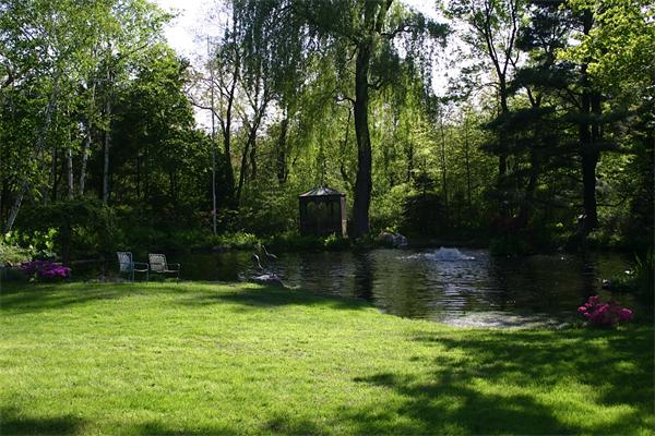46 Suffolk Road Newton, MA 02467 - Photo 3 of 7 a view of a garden