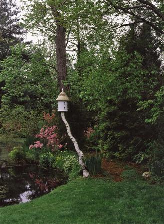 46 Suffolk Road Newton, MA 02467 - Photo 4 of 7