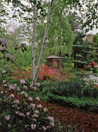 46 Suffolk Road Newton, MA 02467 - Photo 6 of 7 a view of a garden with plants
