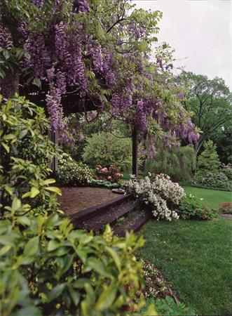 46 Suffolk Road Newton, MA 02467 - Photo 7 of 7 a view of a lush green forest
