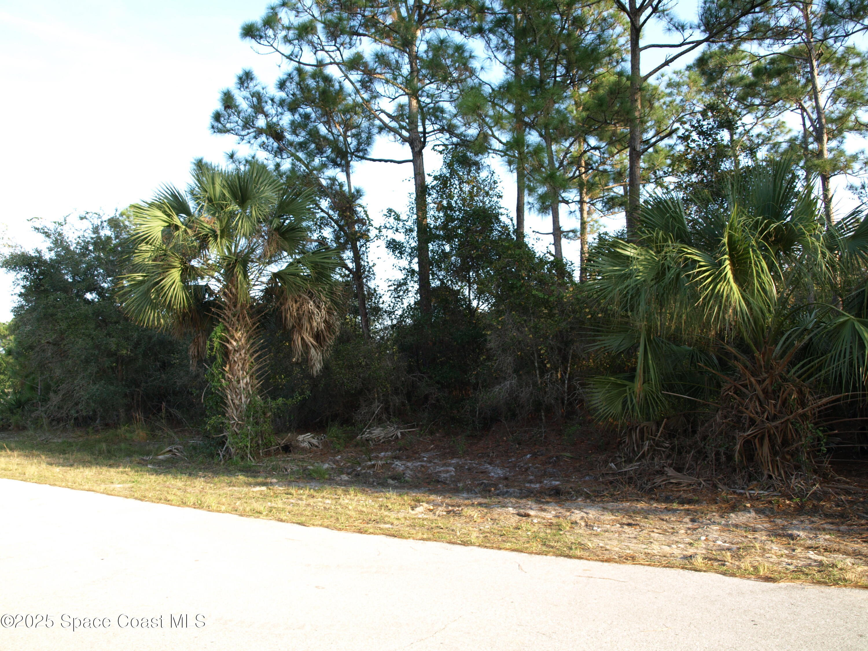 3291 Wesday Road Southeast Palm Bay, FL 32909 - Photo 4 of 6 PC060291