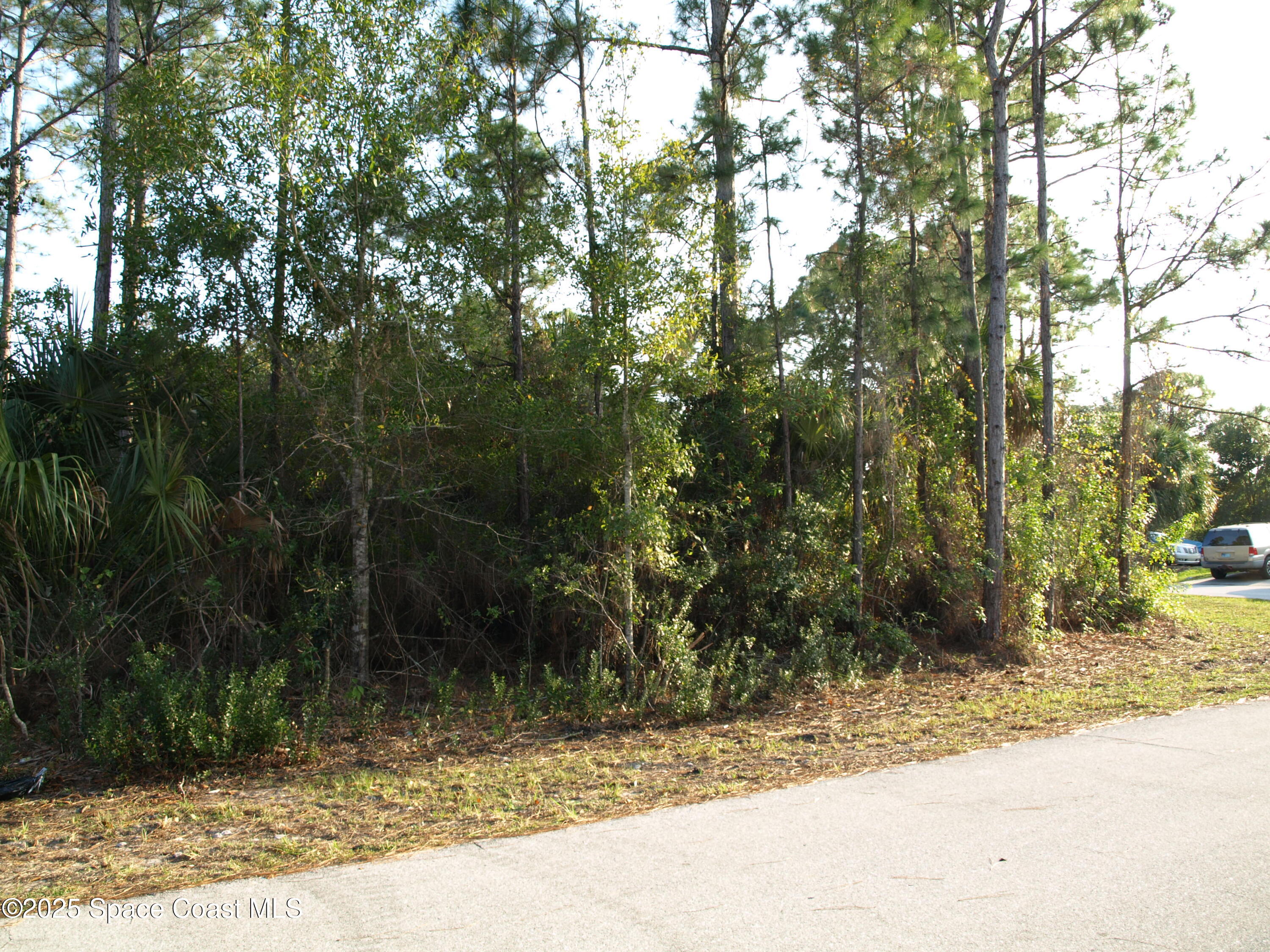 3291 Wesday Road Southeast Palm Bay, FL 32909 - Photo 5 of 6 PC060292