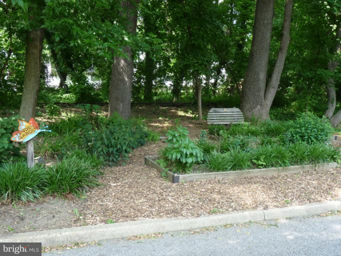 4312 Barrington Road Baltimore, MD 21229 - Photo 29 of 30 Community Garden
