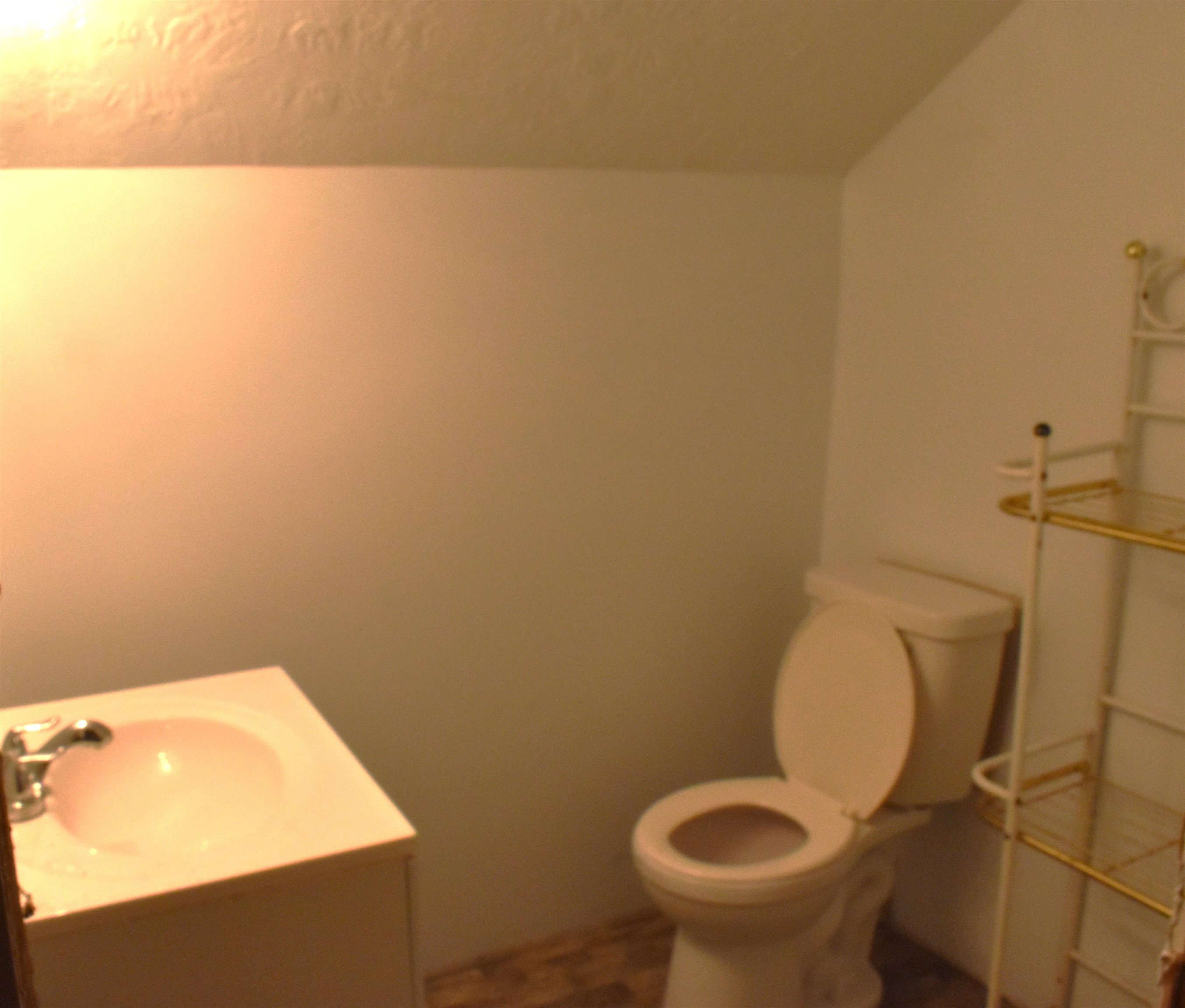 1625 Hilts Road Gladwin, MI 48624 - Photo 29 of 38