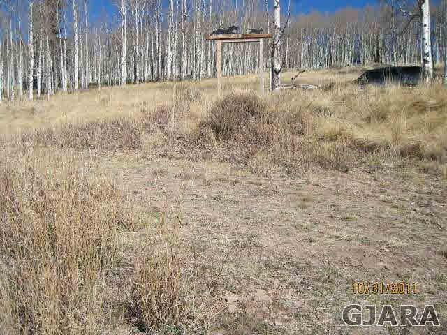 1551 Spruce Road Cimarron, CO 81220 - Photo 1 of 3 Gallery Image 1