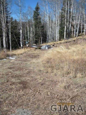 1551 Spruce Road Cimarron, CO 81220 - Photo 2 of 3 Gallery Image 2