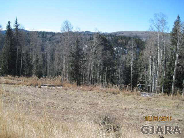 1551 Spruce Road Cimarron, CO 81220 - Photo 3 of 3 Gallery Image 3
