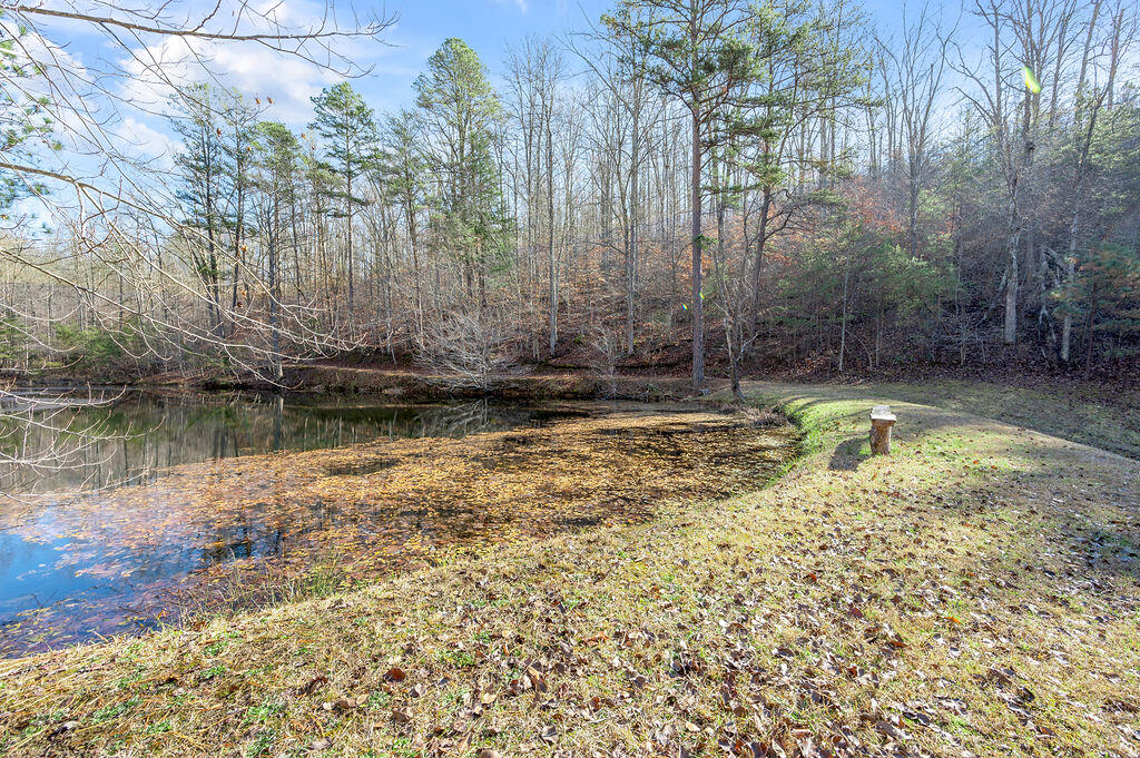 1635 Wiley Branch Road Martha, KY 41159 - Photo 78 of 83 TDB_7039