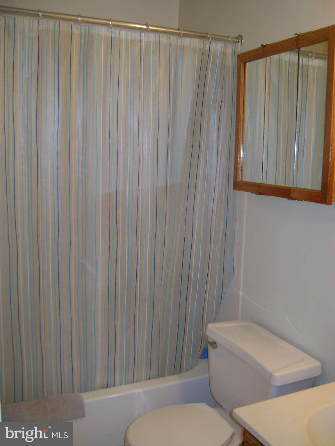2006 Riding Crop Way Baltimore, MD 21244 - Photo 12 of 20 Bath