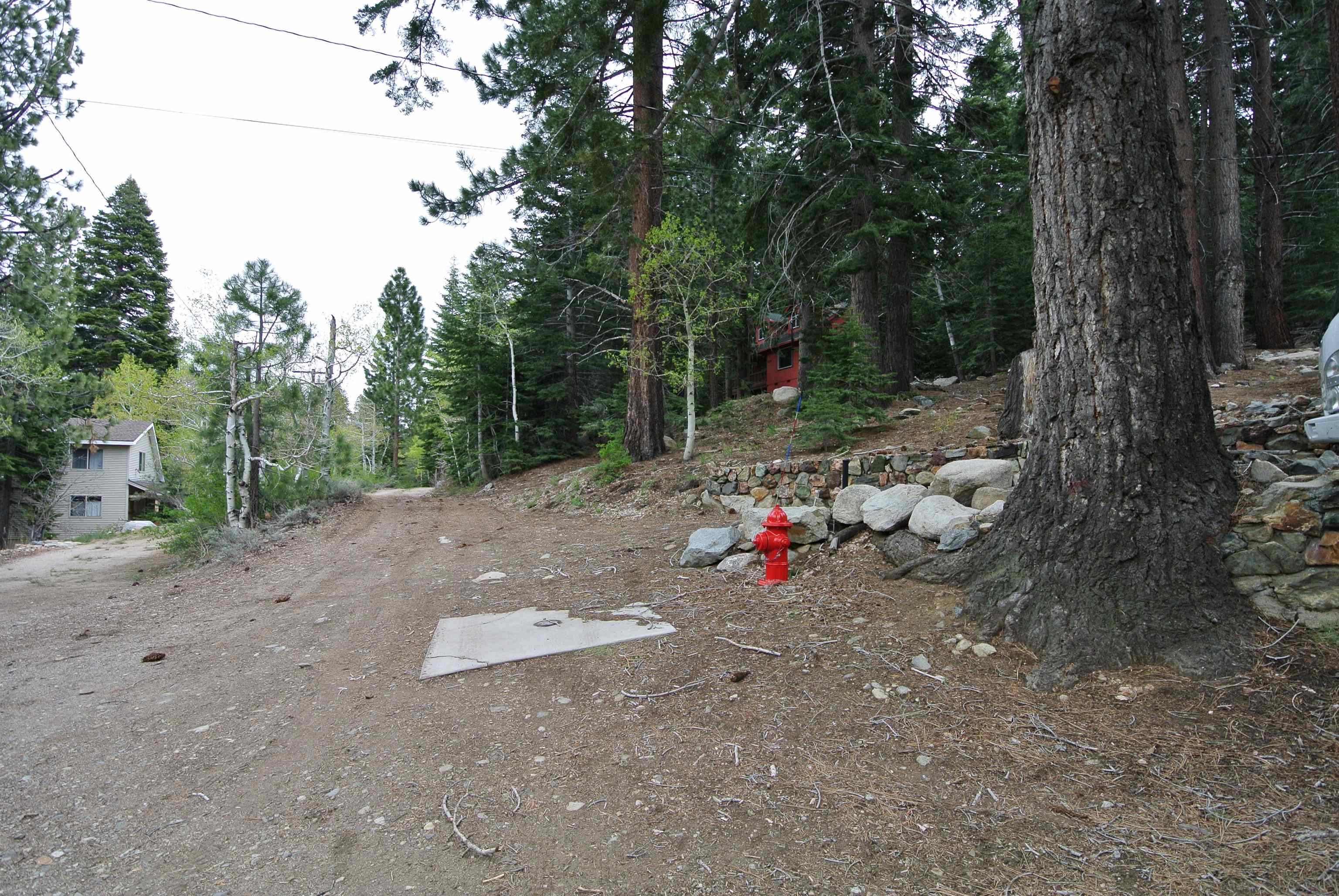 199 Hunewill Drive Bridgeport, CA 93517 - Photo 35 of 40 Dirt road property entrance surrounded by mature trees