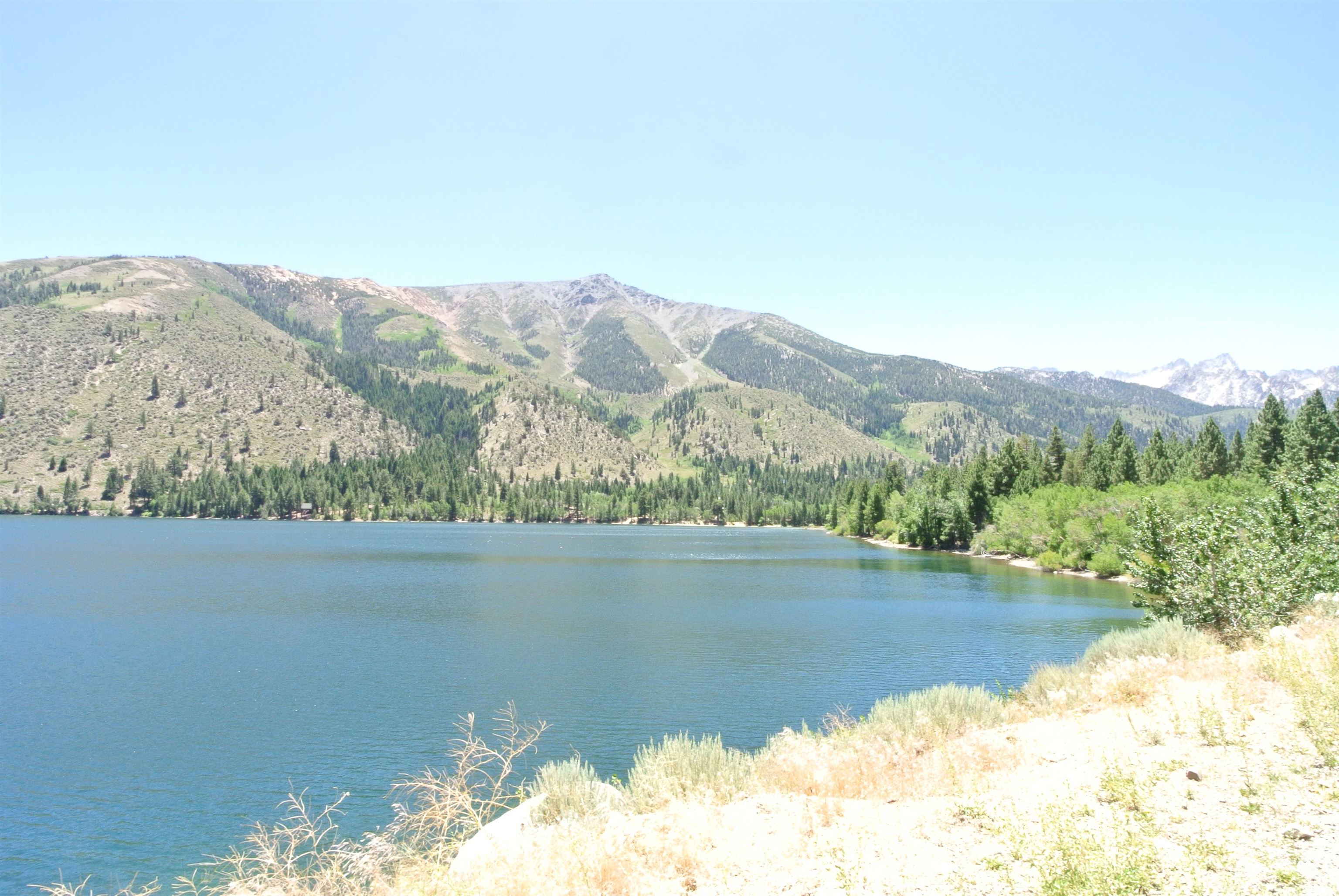 199 Hunewill Drive Bridgeport, CA 93517 - Photo 37 of 40 Expansive lake frontage with a mountainous backdrop, featuring evergreen trees and natural vegetation