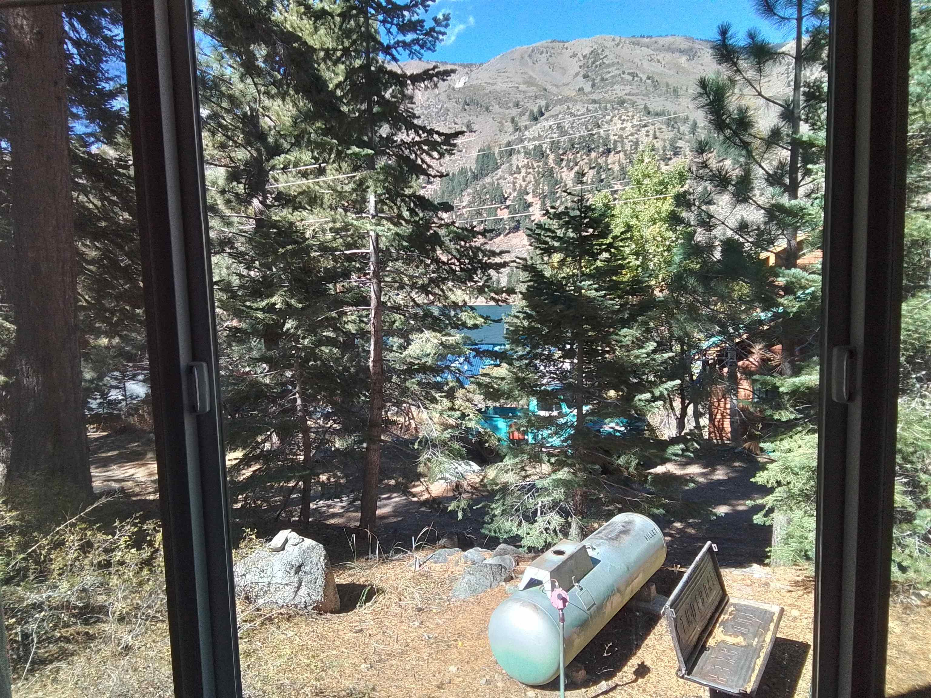 199 Hunewill Drive Bridgeport, CA 93517 - Photo 5 of 40 Sliding glass door framing a forested landscape with mature evergreen trees and distant mountain terrain