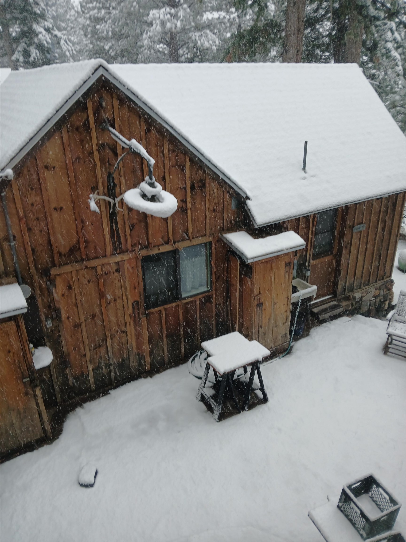 199 Hunewill Drive Bridgeport, CA 93517 - Photo 6 of 40 Natural wood siding with a peaked roofline