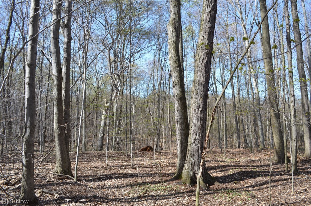 5028 Higley Road Rome, OH 44085 - Photo 6 of 7
