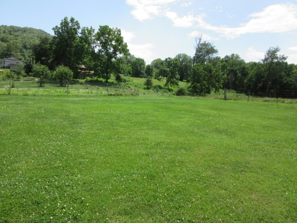 171 White Road Elizabethton, TN 37643 - Photo 8 of 20 Photo 8