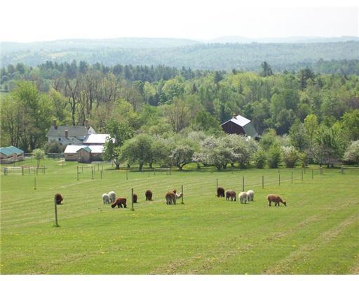 276 Files Hill Road Thorndike, ME 04986 - Photo 1 of 17 View. View looking South from upper...