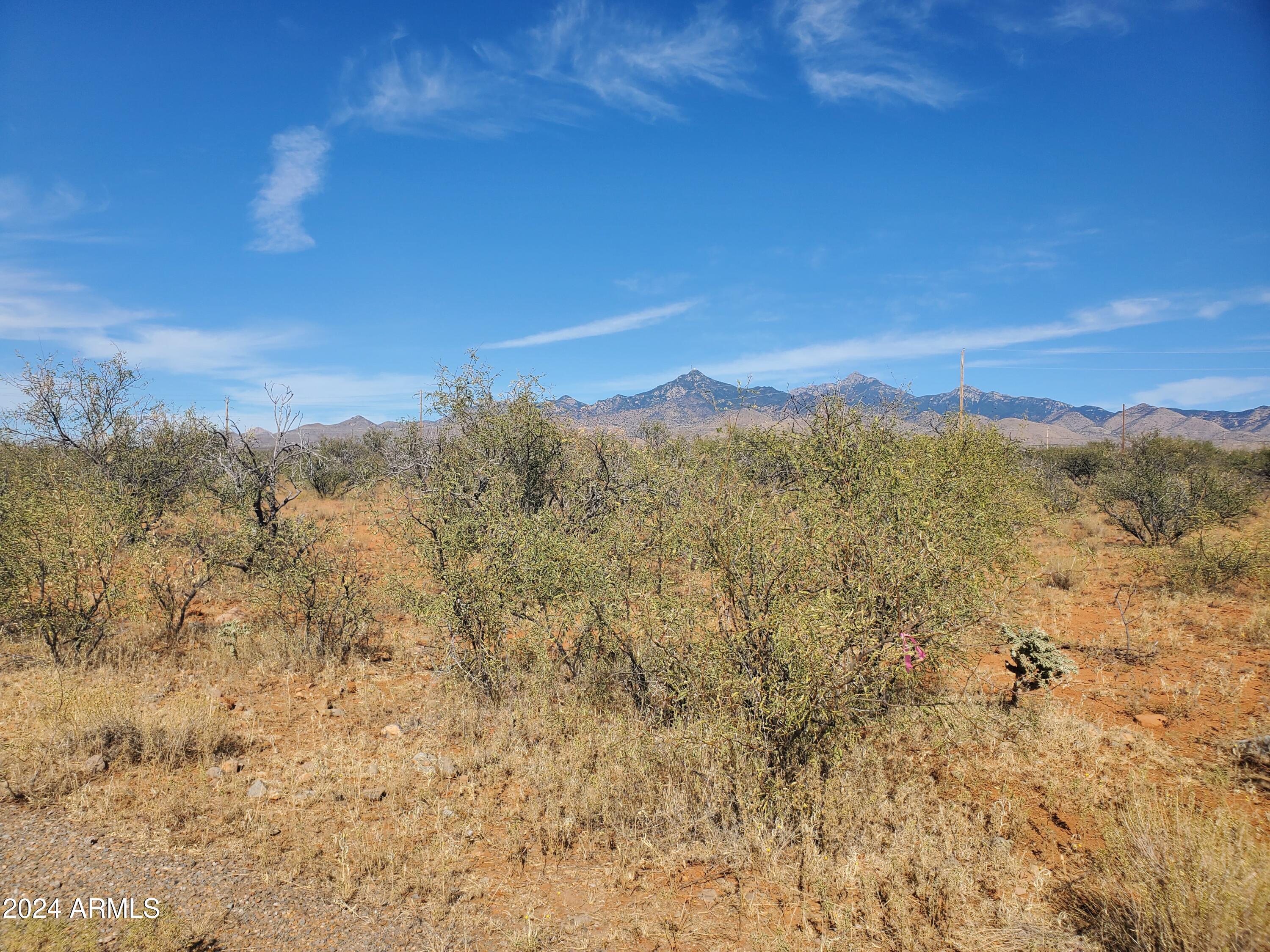 403 Via Pera, Unit 2 Rio Rico, AZ 85648 - Photo 6 of 7 20241022_135133