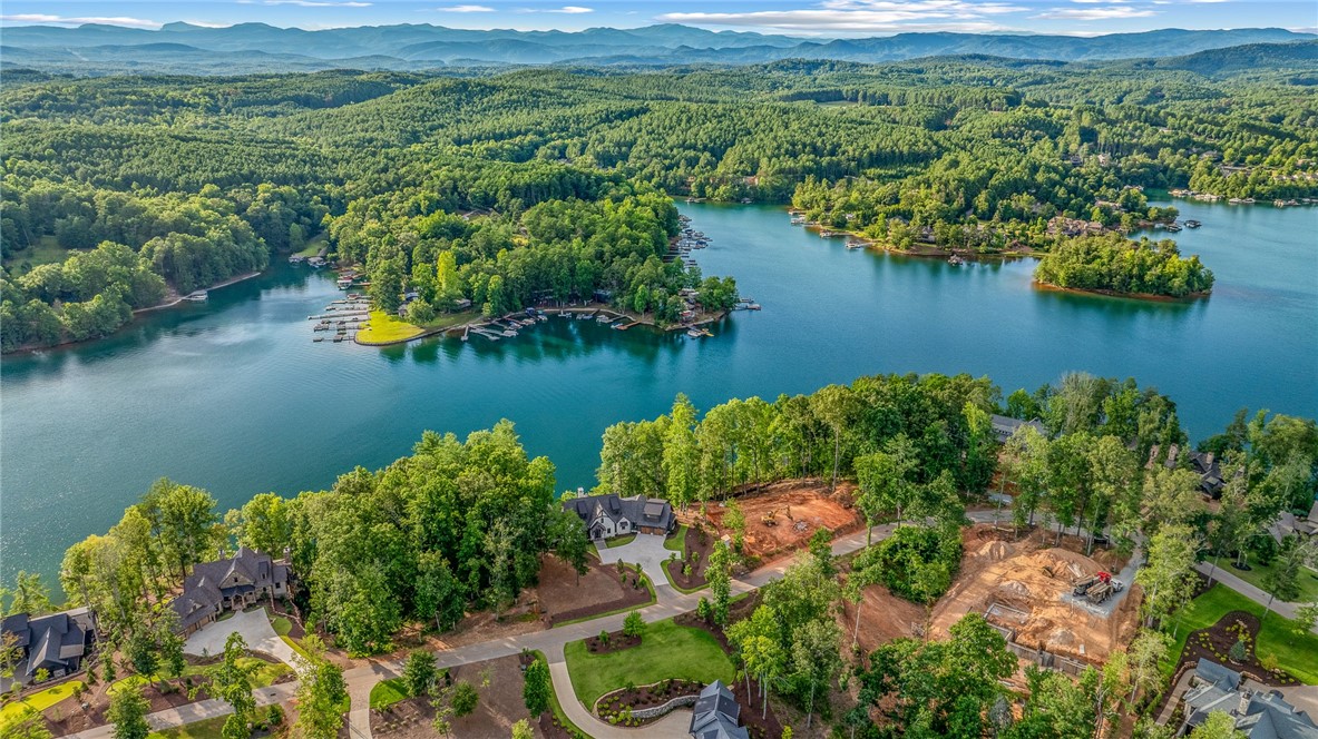 454 Peninsula Ridge Sunset, SC 29685 - Photo 3 of 40