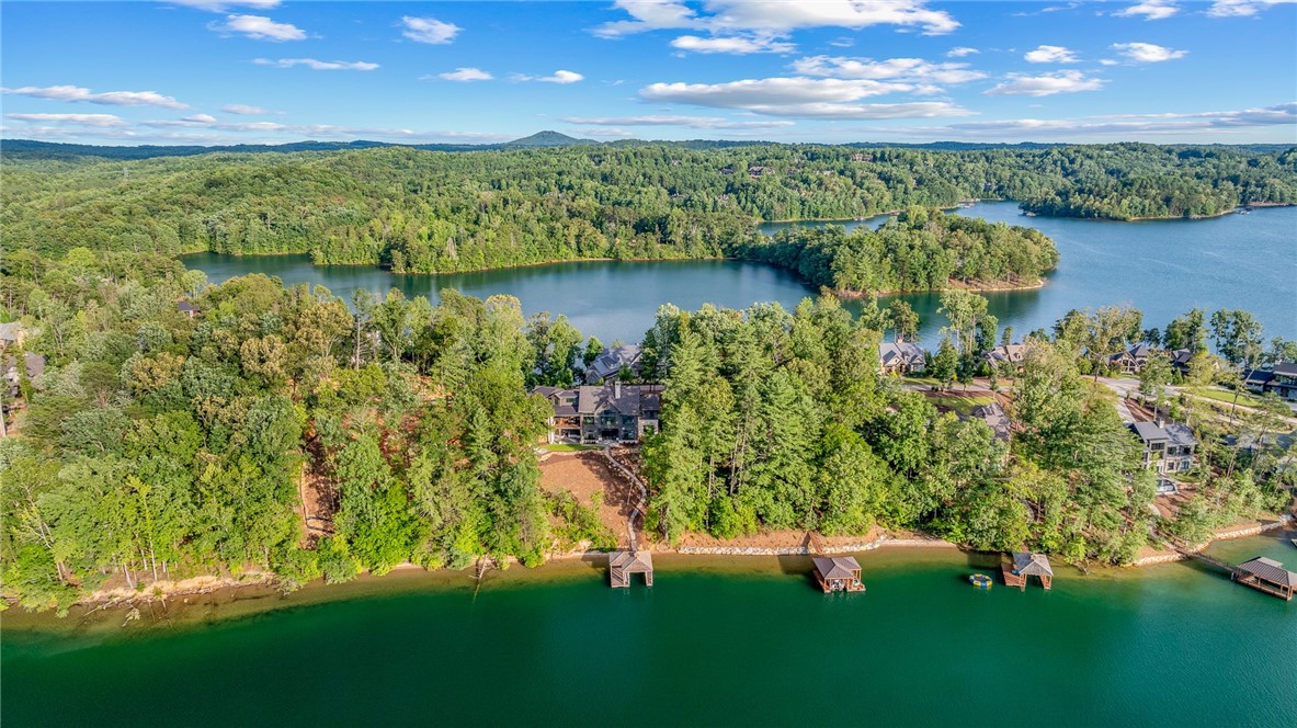 454 Peninsula Ridge Sunset, SC 29685 - Photo 39 of 40