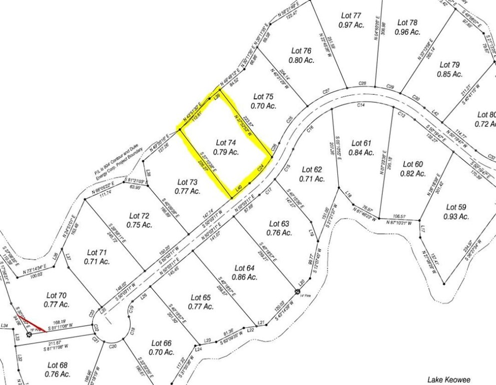 454 Peninsula Ridge Sunset, SC 29685 - Photo 40 of 40