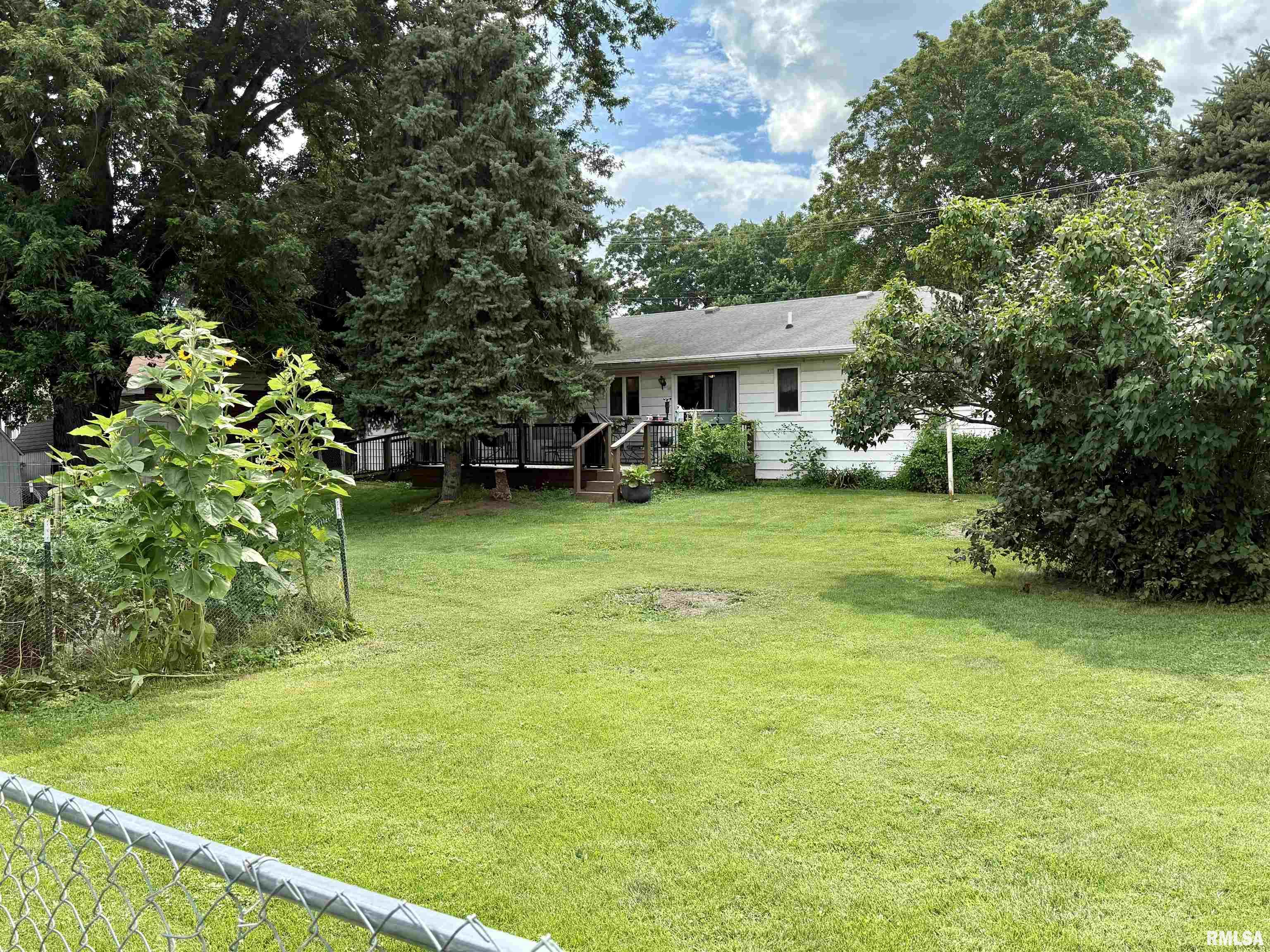 208 South 2nd Street Cuba, IL 61427 - Photo 3 of 29