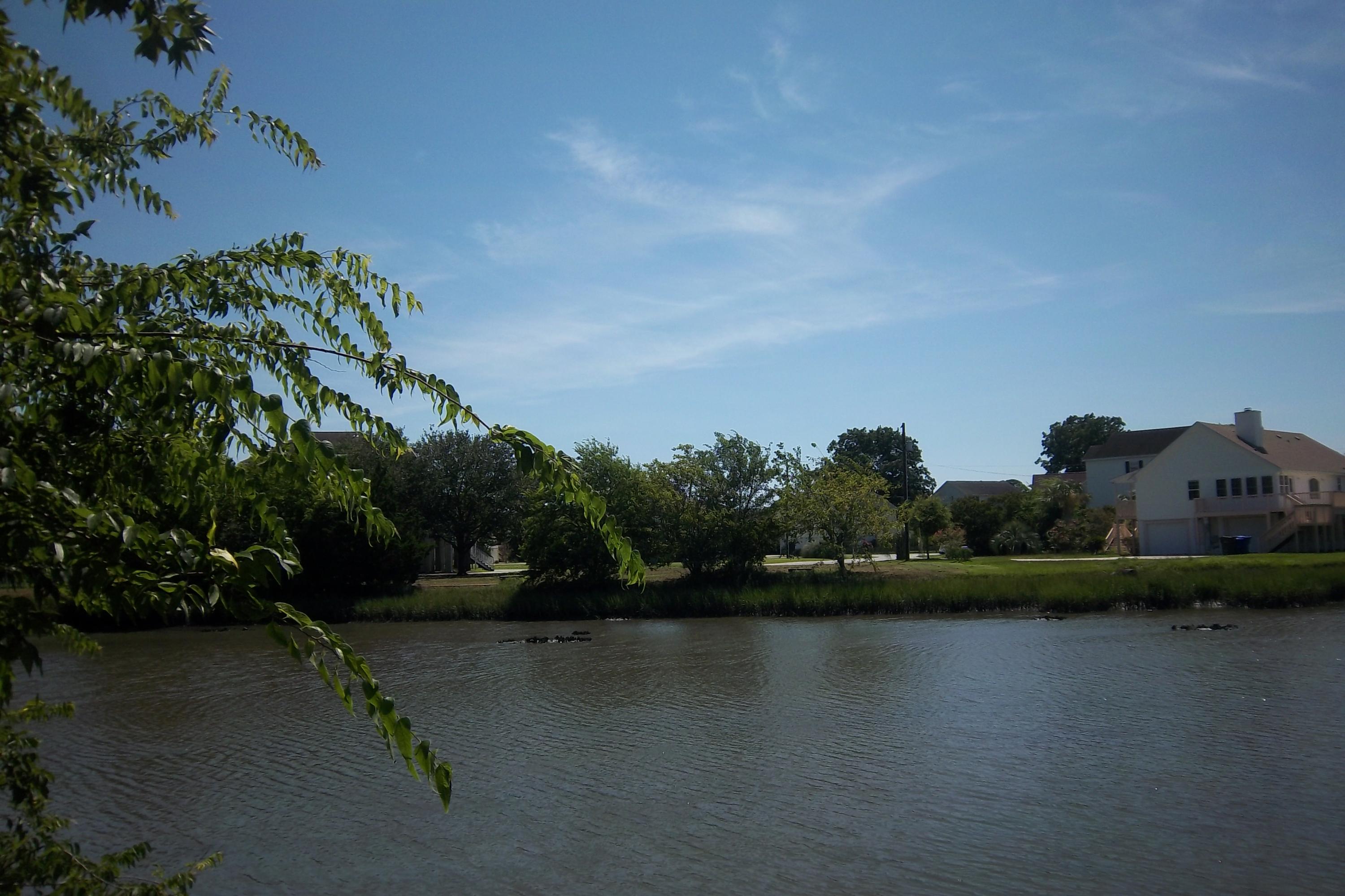 1666 Old Military Road Charleston, SC 29412 - Photo 1 of 44 Water 1