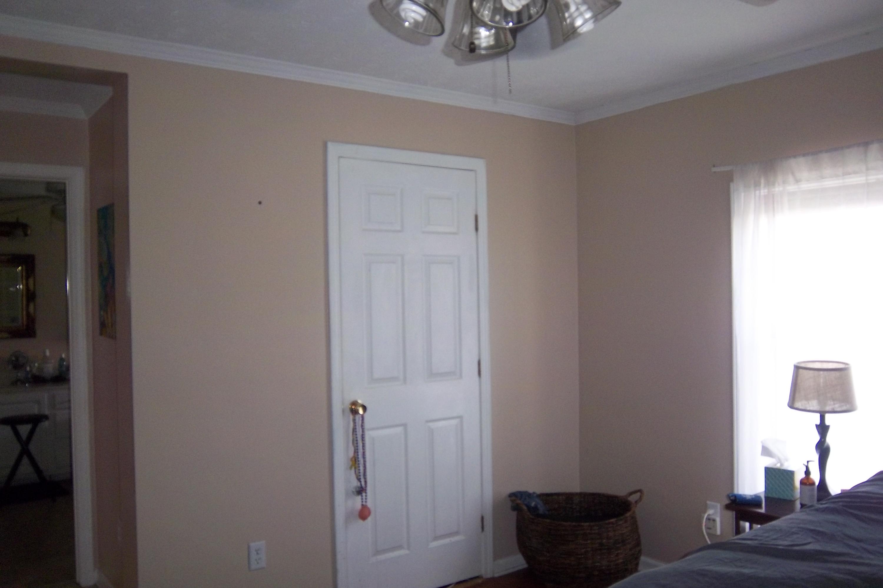 1666 Old Military Road Charleston, SC 29412 - Photo 16 of 44 Master Bedroom, view 2