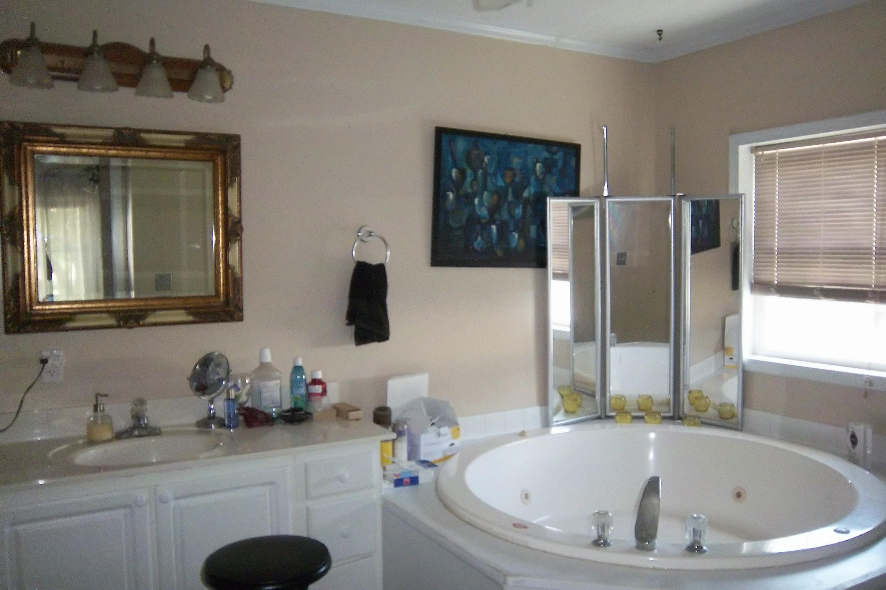 1666 Old Military Road Charleston, SC 29412 - Photo 17 of 44 Master Bathroom, jetted tub view