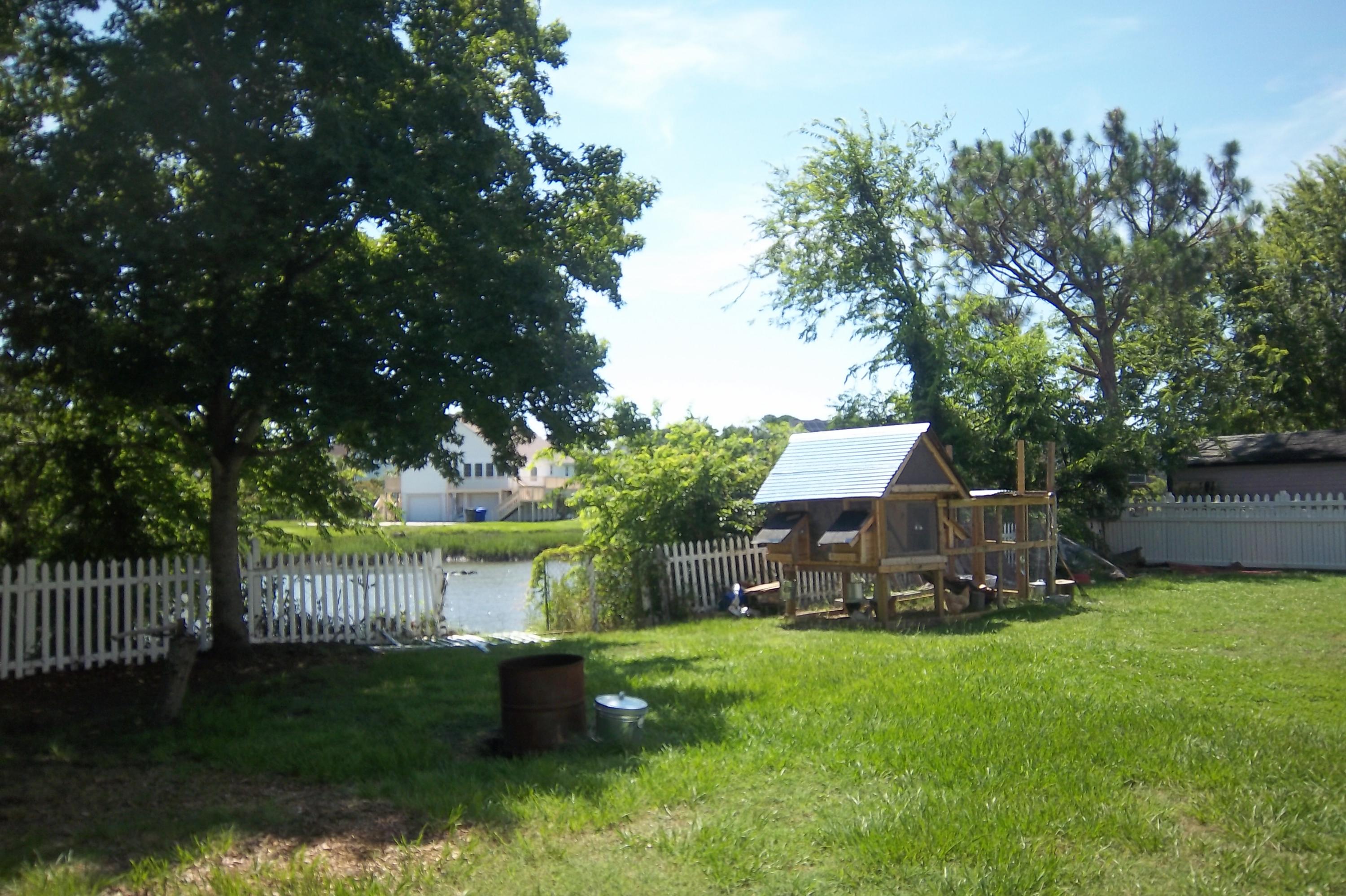 1666 Old Military Road Charleston, SC 29412 - Photo 37 of 44 Backyard View 2