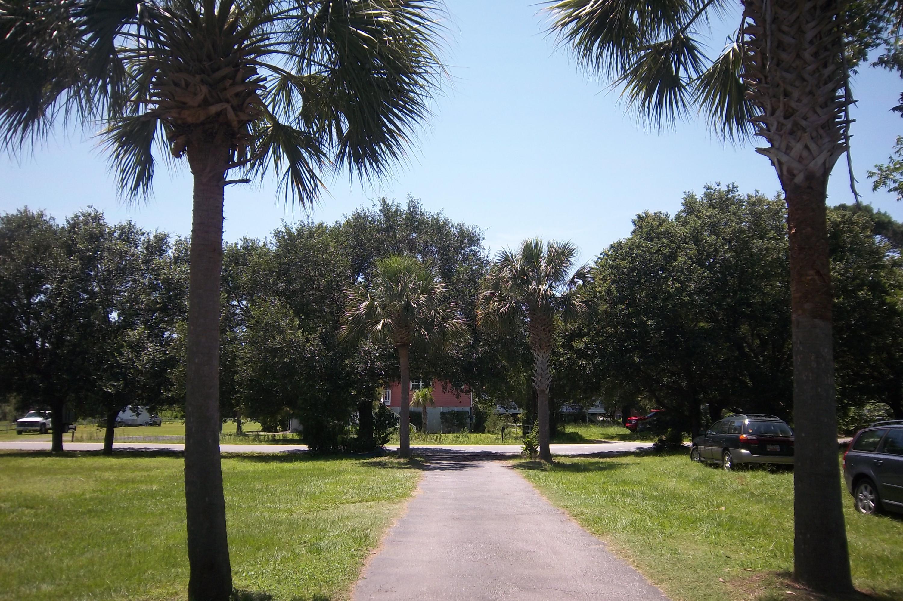 1666 Old Military Road Charleston, SC 29412 - Photo 39 of 44 Driveway 2