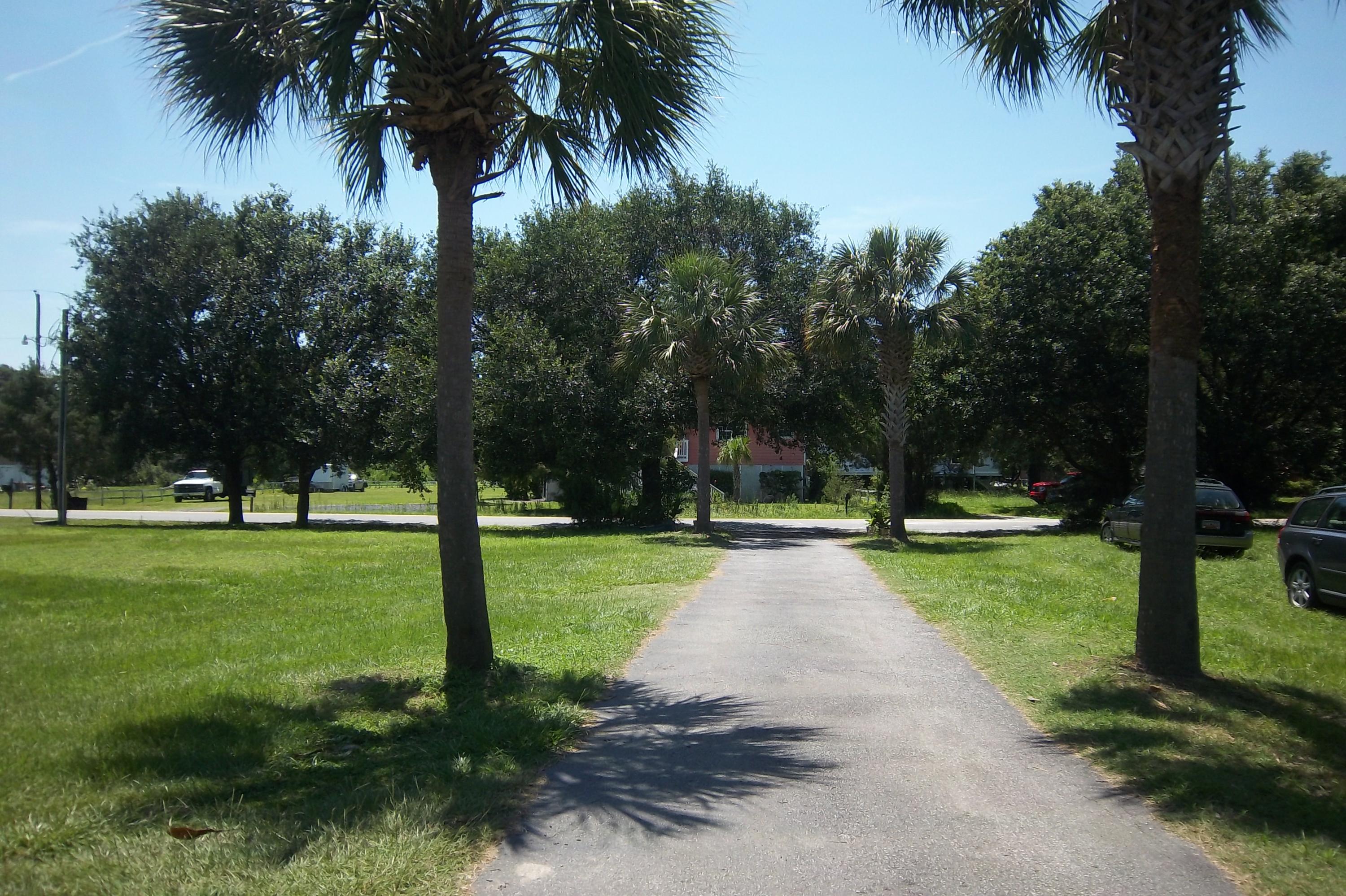 1666 Old Military Road Charleston, SC 29412 - Photo 40 of 44 Driveway lined with palms