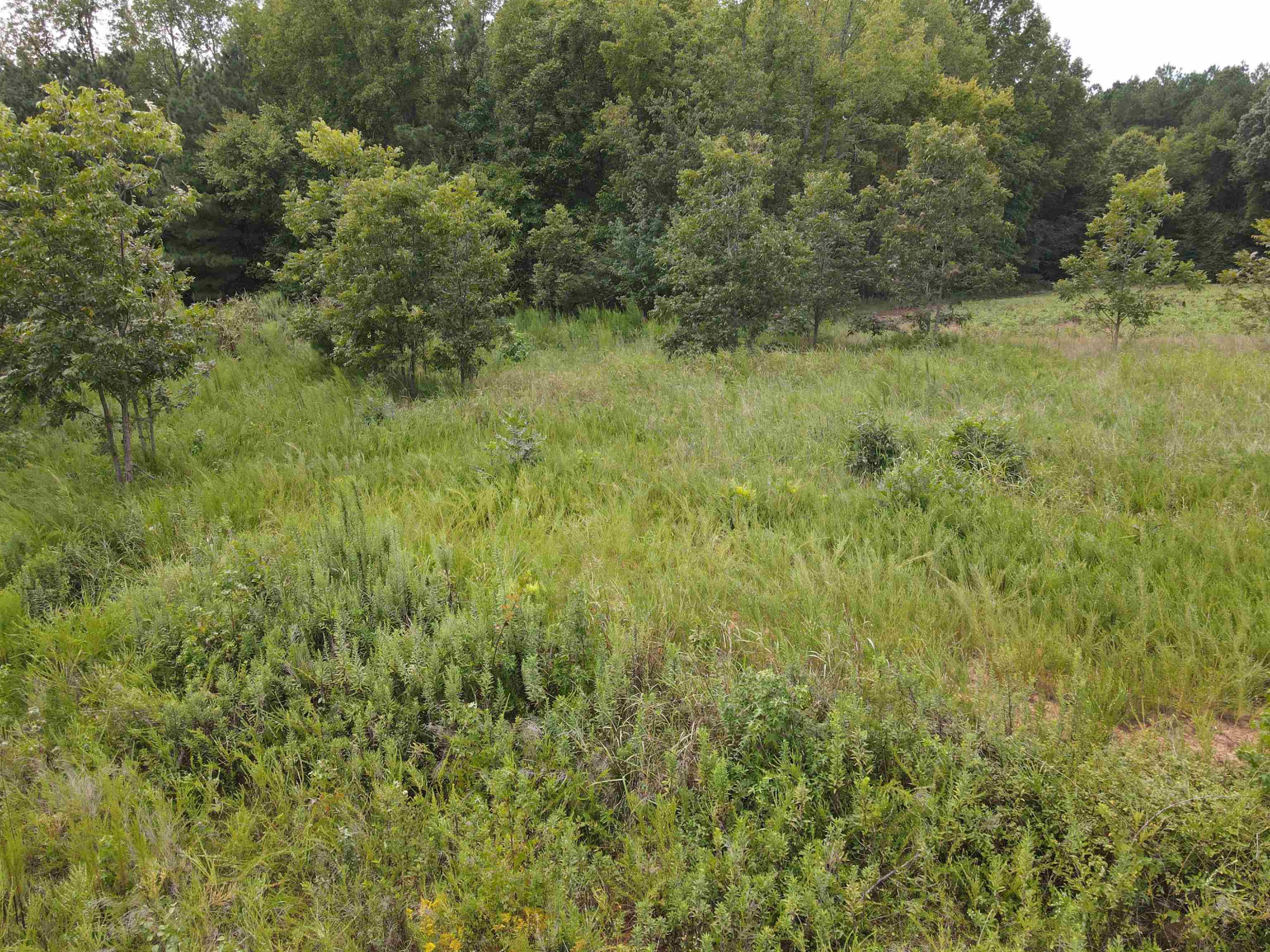 198 Walt Drive Middlesex, NC 27557 - Photo 2 of 12 Photo 2