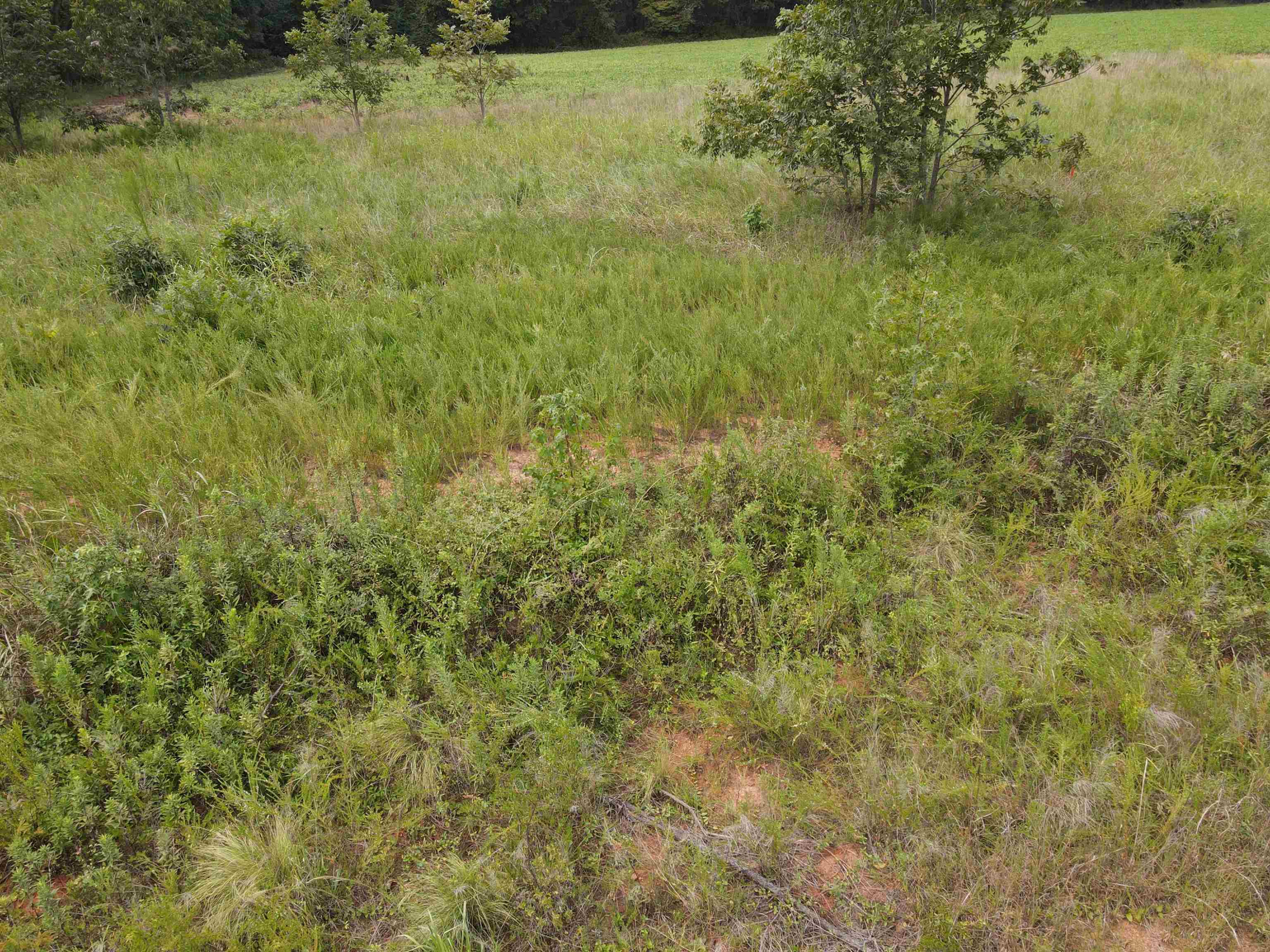 198 Walt Drive Middlesex, NC 27557 - Photo 4 of 12 Photo 4