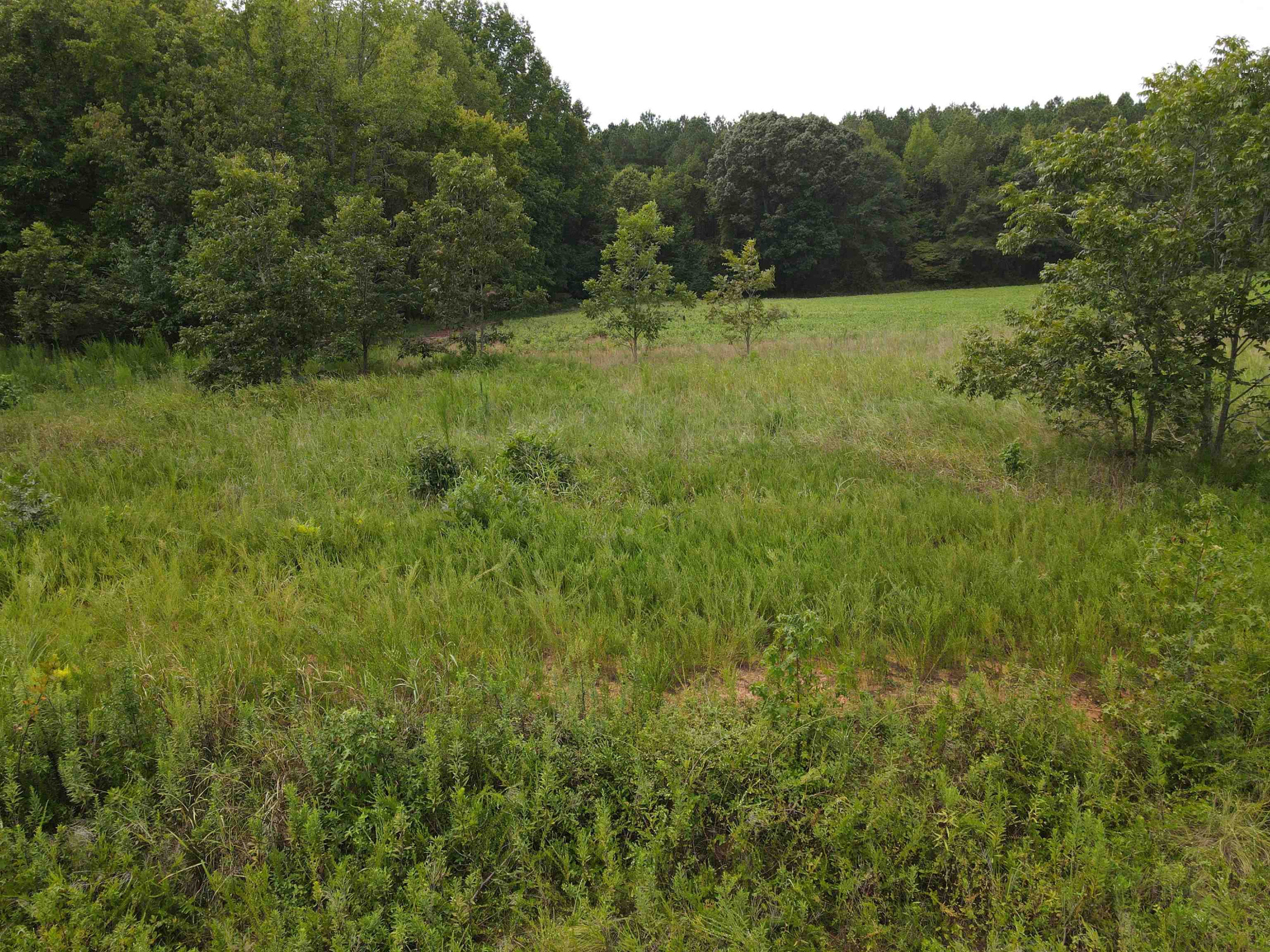 198 Walt Drive Middlesex, NC 27557 - Photo 5 of 12 Photo 5