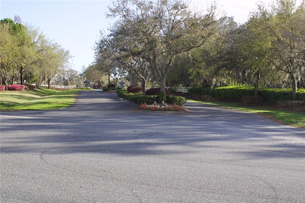 Ridge Road, Unit 47 Tavares, FL 32778 - Photo 39 of 41