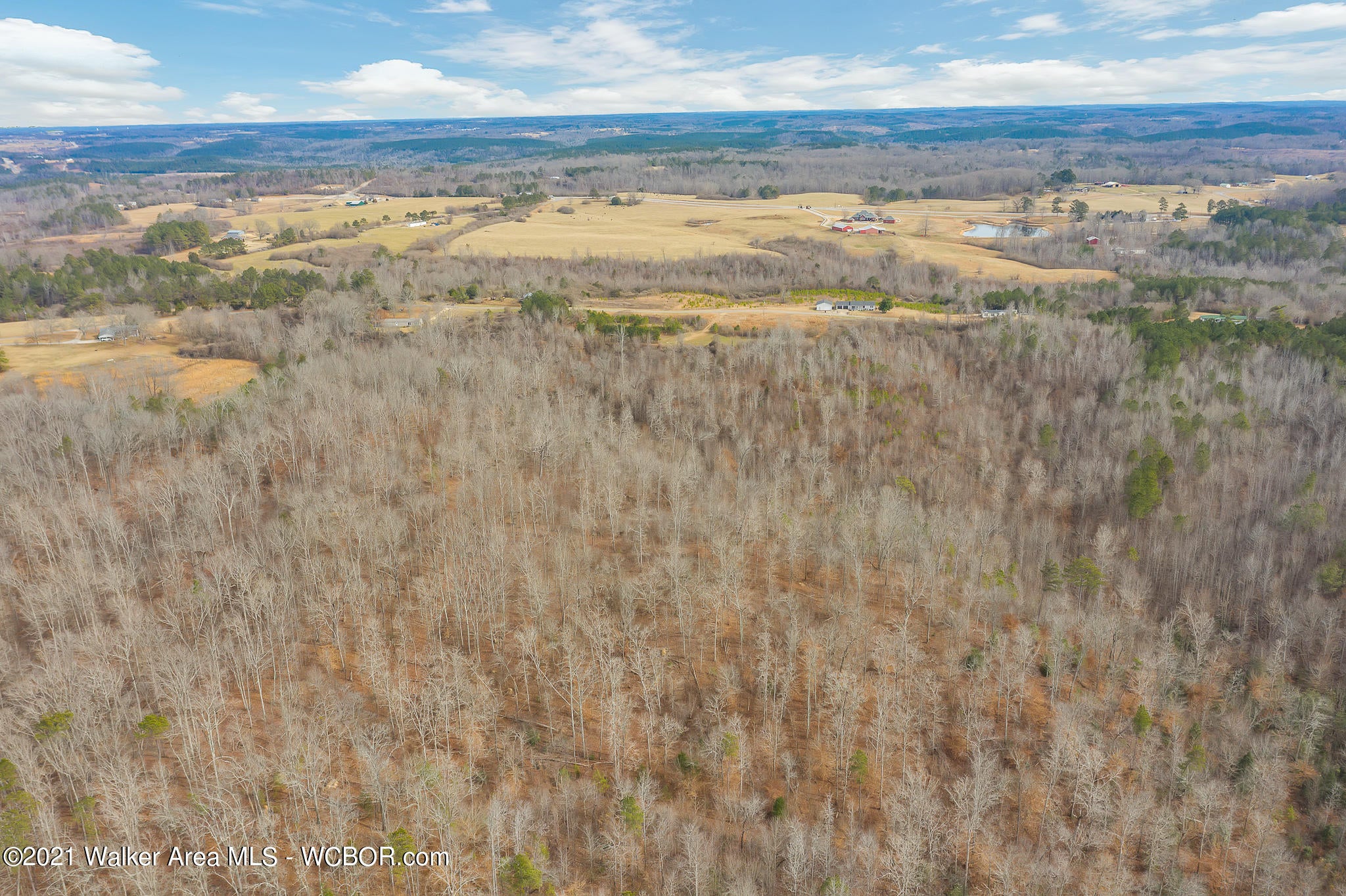 Howell Road Hamilton, AL 35570 - Photo 8 of 10 Gallery Image 8