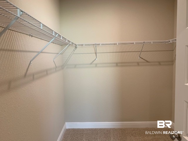 9439 Eiland Drive, Unit 38 Foley, AL 36535 - Photo 12 of 20 Master Closet