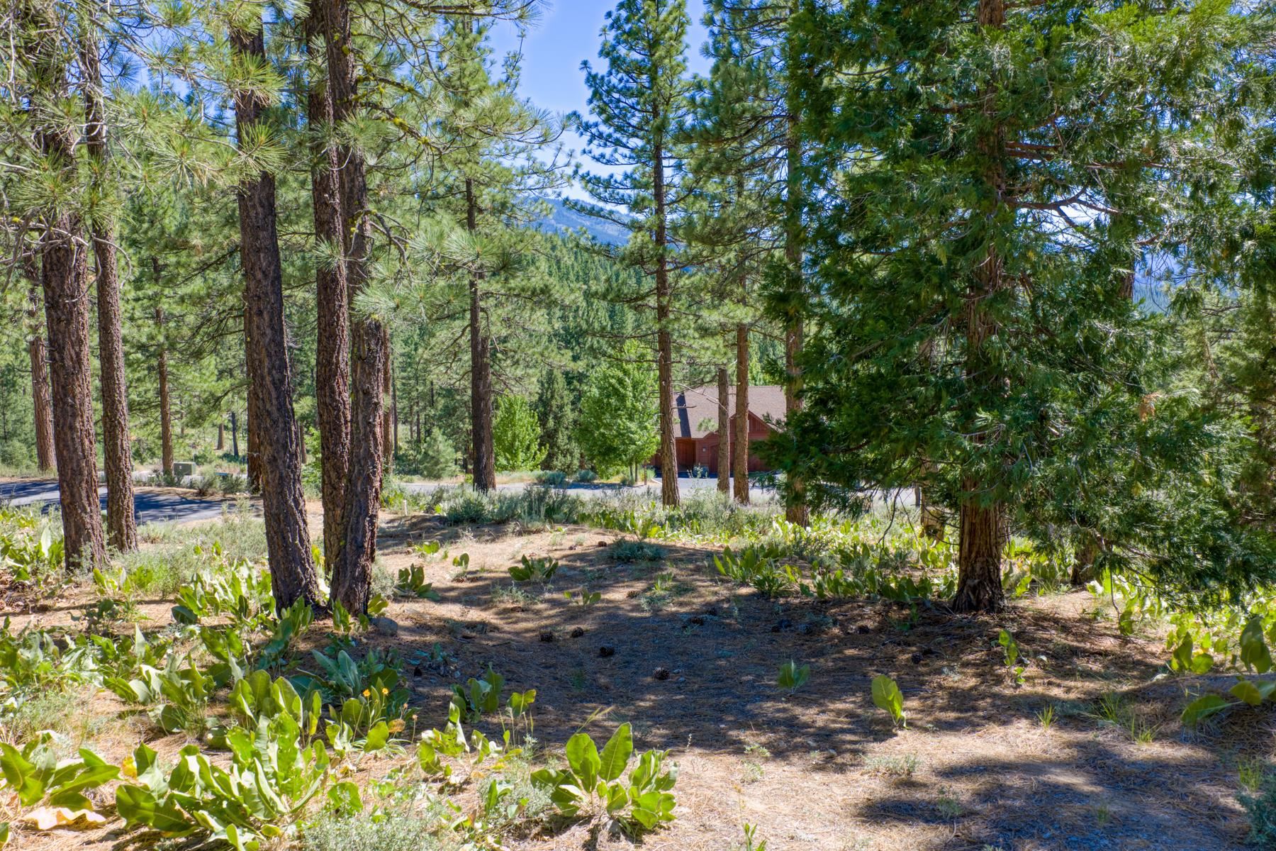 1924 Grizzly Ranch Road Portola, CA 96122 - Photo 9 of 11