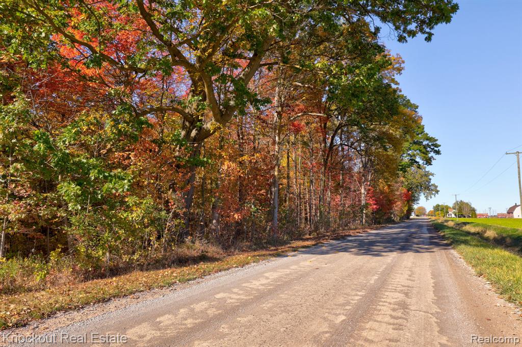4000 South Reese Road Frankenmuth, MI 48734 - Photo 15 of 18