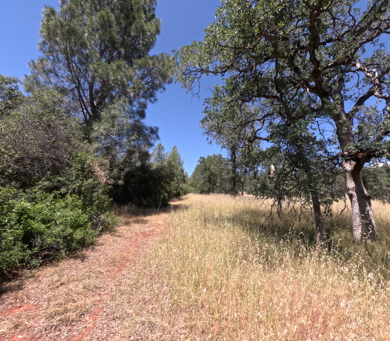 0 Hazen Road Manton, CA 96059 - Photo 10 of 11